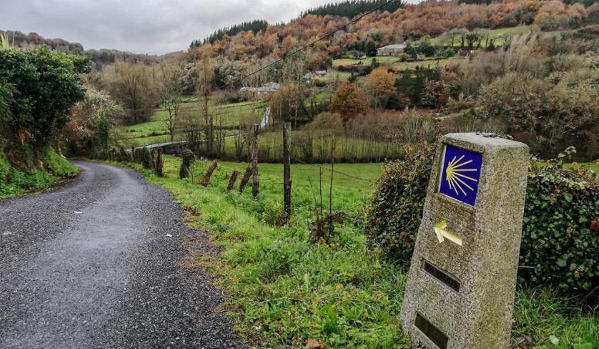 El Camino de Santiago