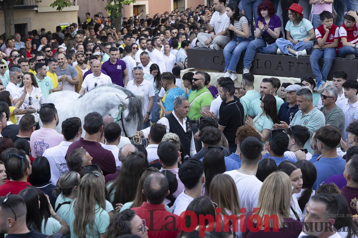 Fiestas de Caravaca | Entrega de premios del concurso morfológico