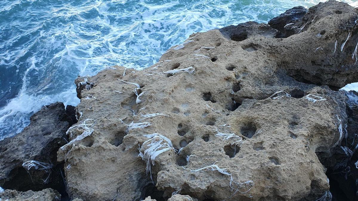 Toallitas enganchadas a las rocas de la Albufereta, la pasada semana.