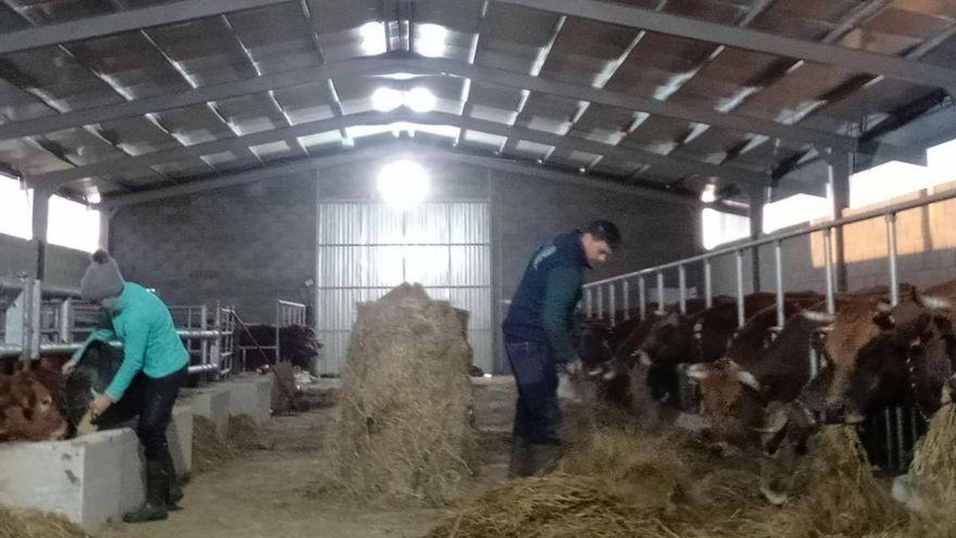 La ilusión de ser ganadero en los Oscos que se lleva por delante Hacienda