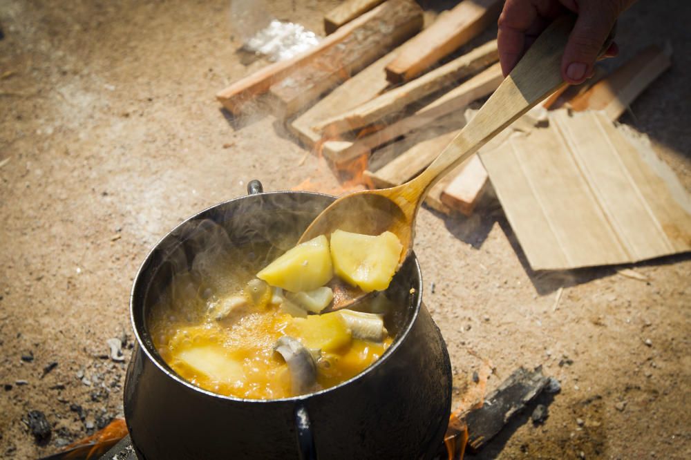 Concurso Internacional de All i Pebre en Catarroja