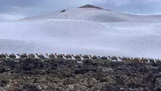 La espectacular 'nevada' en Montañas del Fuego ofrece otra insólita imagen de los volcanes de Lanzarote