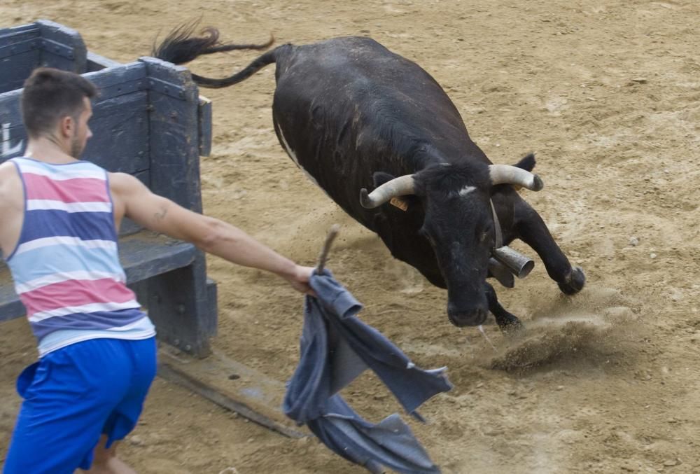 Fiestas de Sagunto. Recinto taurino.