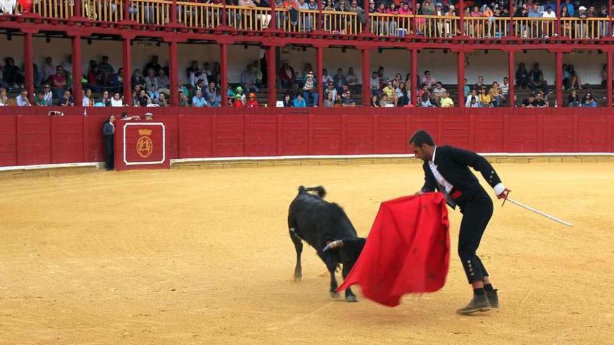 Uno de los matadores de la becerrada benéfica da un muletazo a la vaquilla Foto