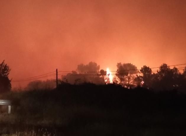 Incendi forestal a Vilopriu