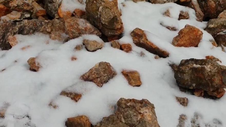 Schneeflöckchen, Weißröckchen: Ein bisschen weiße Pracht in der Serra de Tramuntana