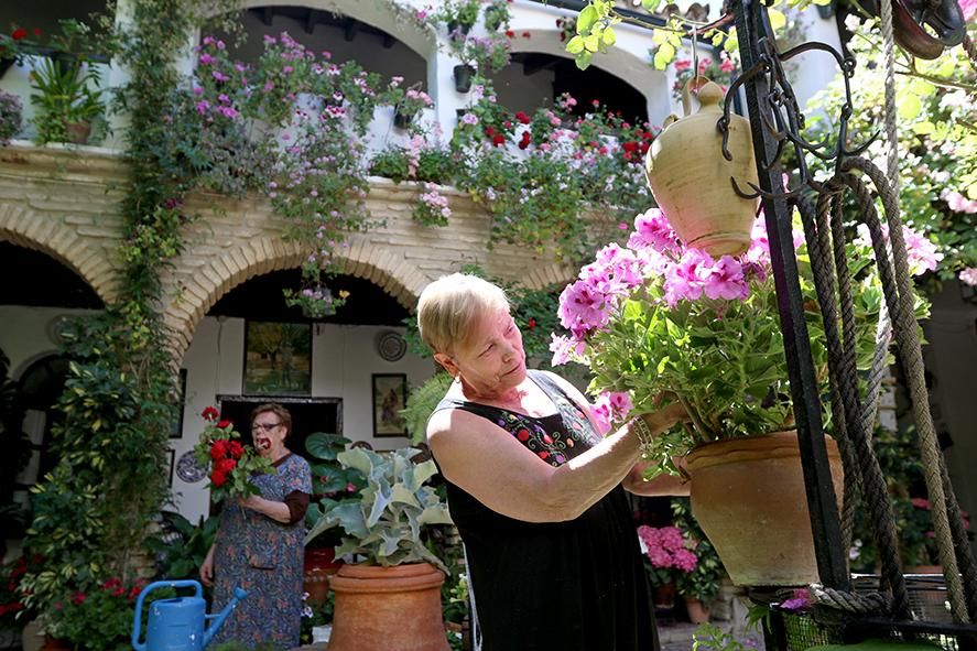 Fotogalería / Los cuidadores dan los últimos retoques a los patios