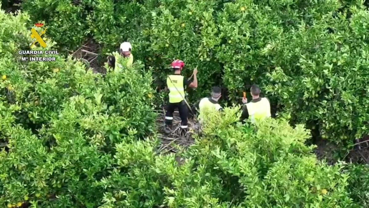 Labores de búsqueda en la zona del barranco de los Pelos en Chiva