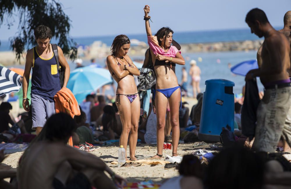 Ambiente de Rototom