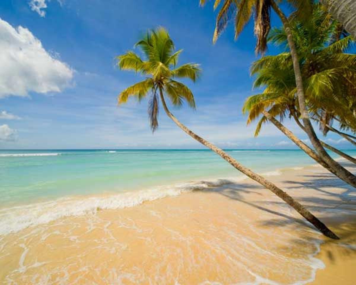 Carnaval caribeño en Tobago