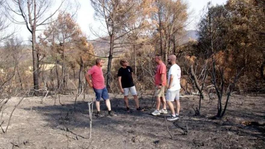 Les Gavarres, després de l'incendi