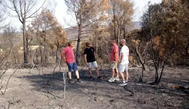 Les Gavarres, després de l'incendi