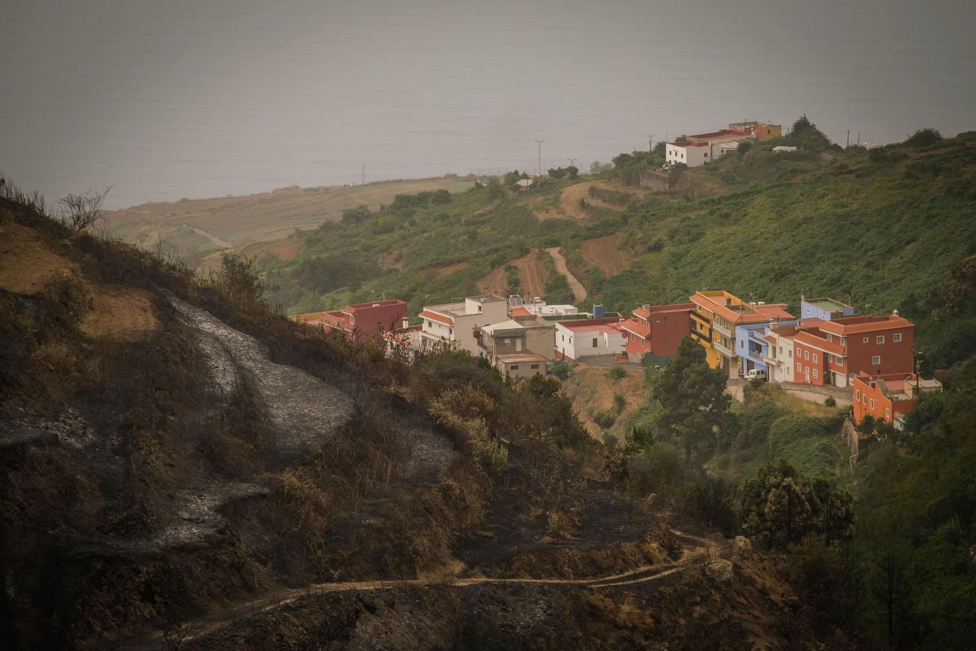 Imágenes de este domingo del incendio de Tenerife.