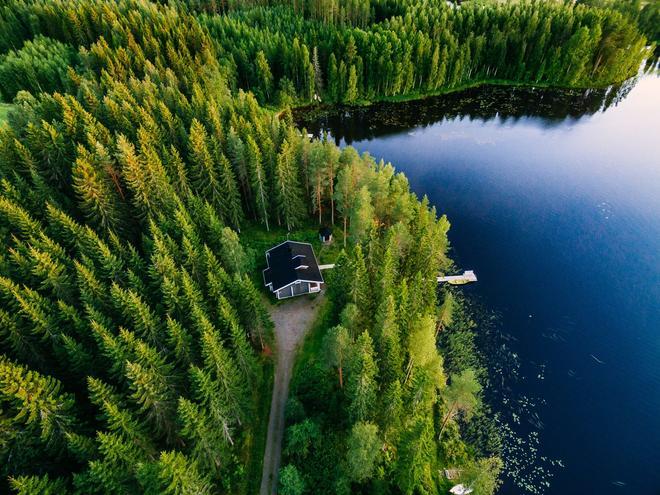 Bosques y cabañas en Finlandia