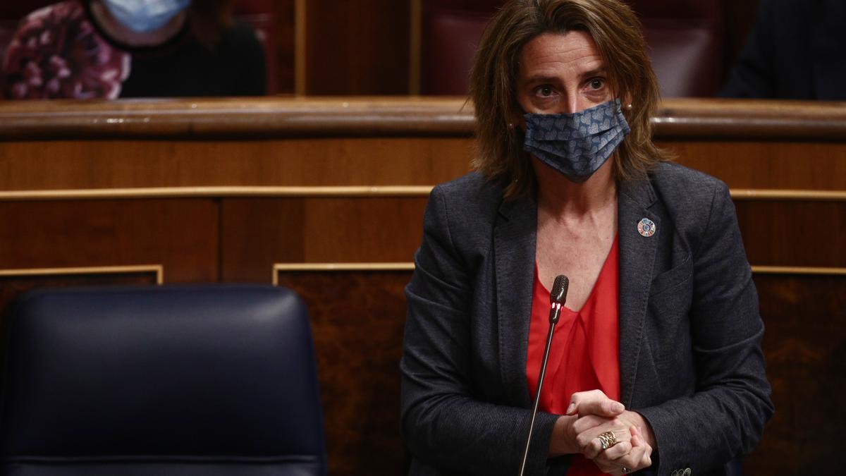 La vicepresidenta cuarta y ministra para la Transición Ecológica y el Reto Demográfico, Teresa Ribera, interviene durante una sesión de Control al Gobierno en el Congreso de los Diputados, en Madrid, (España), a 24 de febrero de 2021. El pleno estará marc