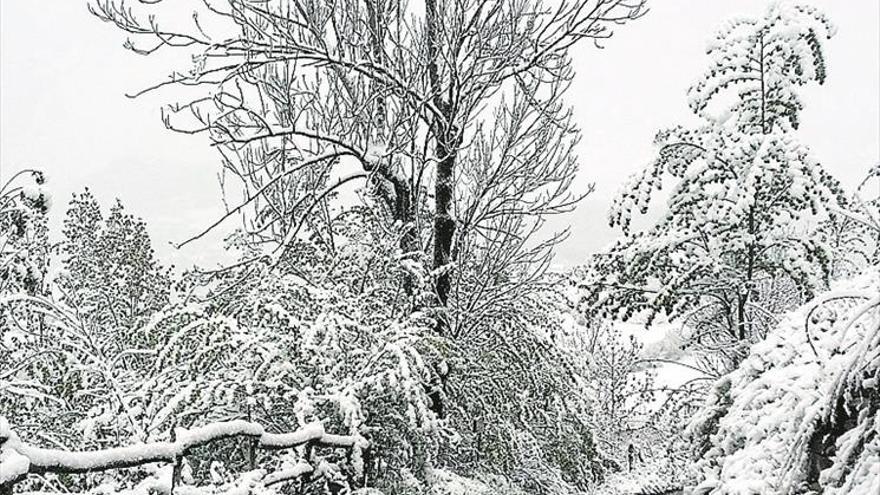 La nieve y el frío sorprenden a las tres provincias