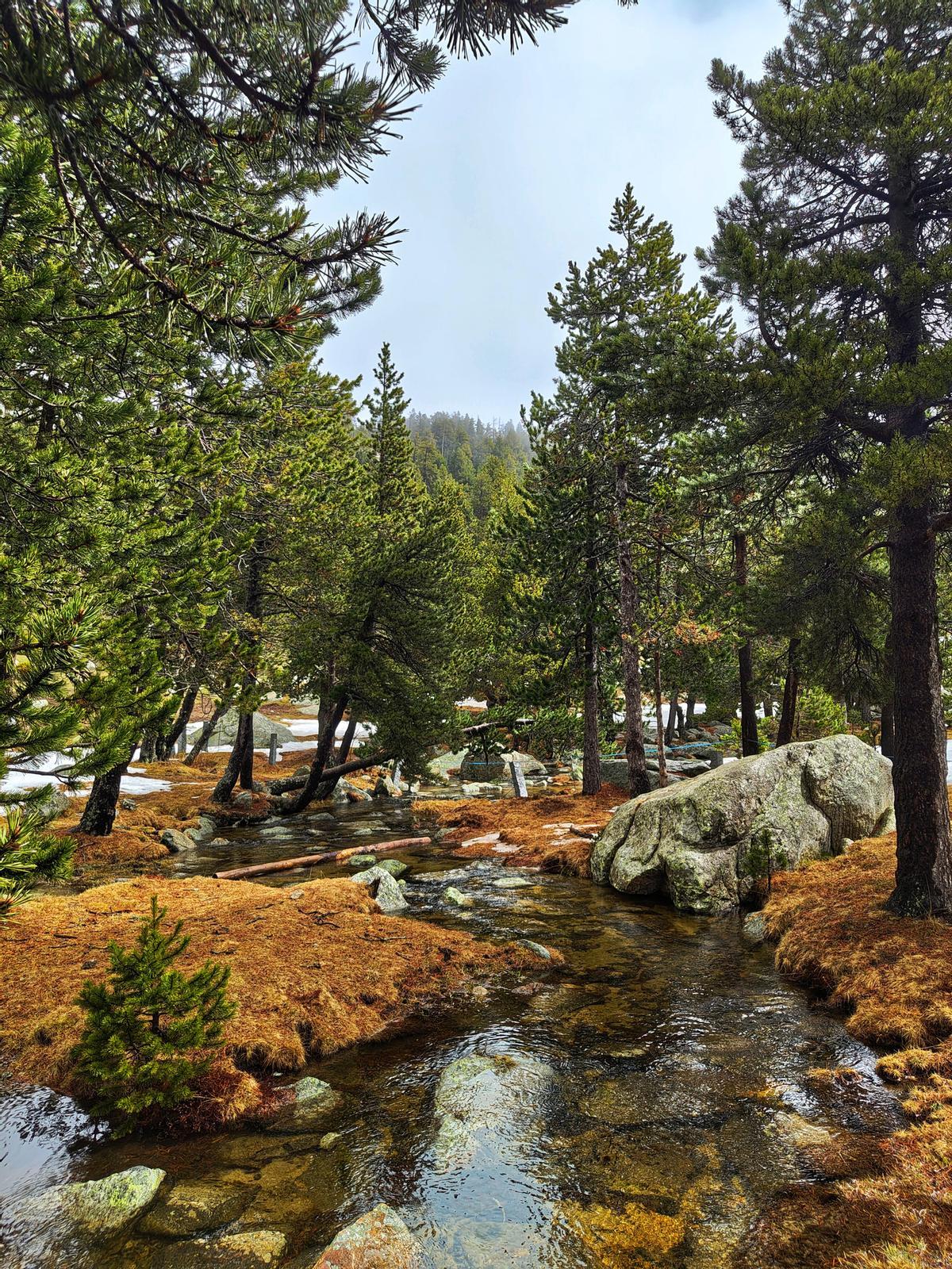 El arroyo Malniu en Gerona, parte de la ruta Transpirenaica