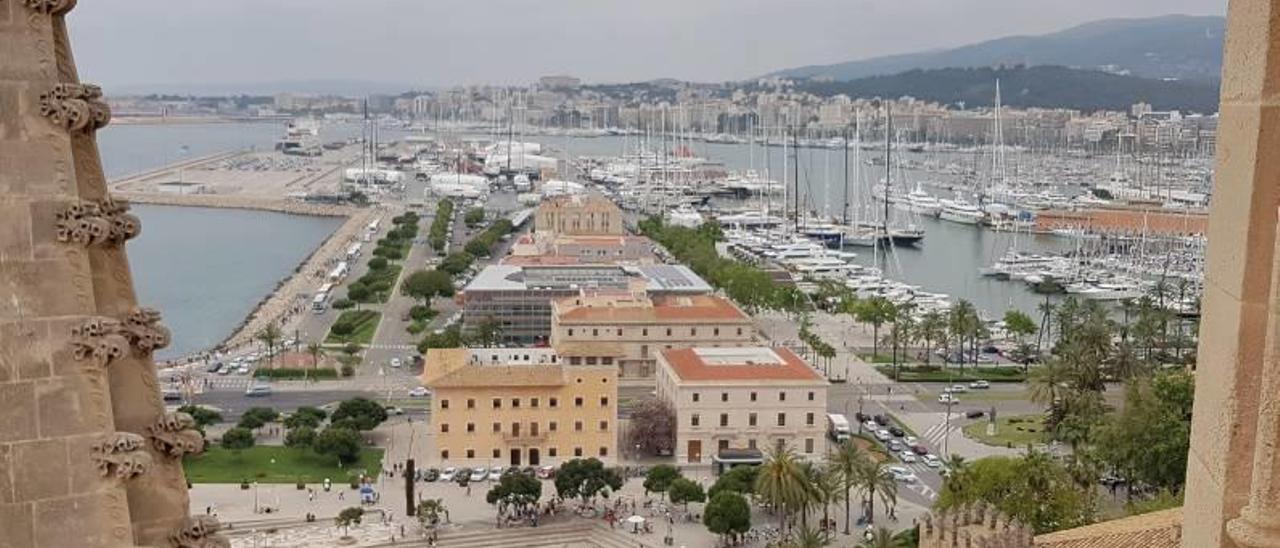 Imagen del Moll Vell desde las terrazas de la Seu.