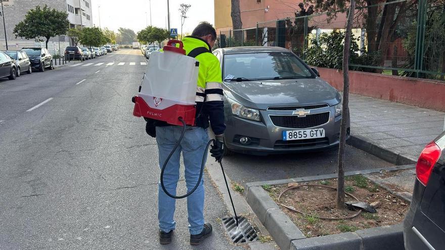Fumigació urbana a Castelló.
