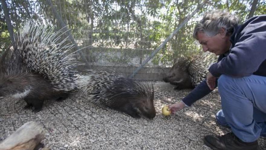 El Arca de Noé y Frank Cuesta devolverán animales exóticos a sus países de origen