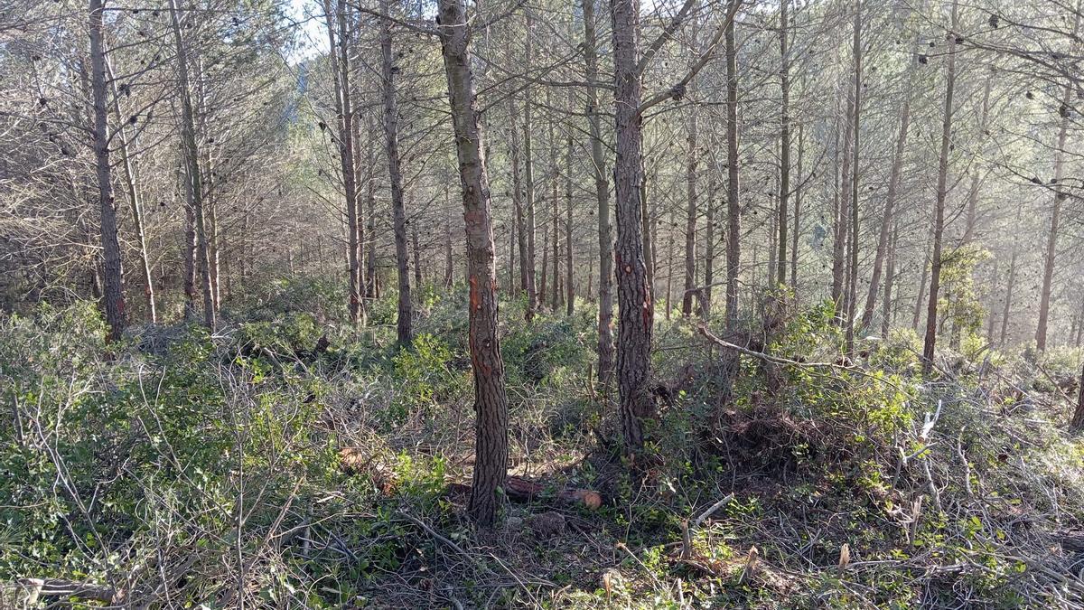 Sierra de Vallada