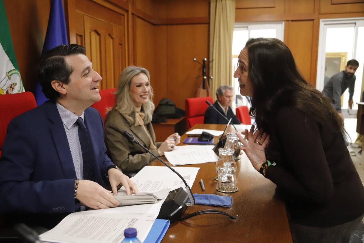 Paula Badanelli, en el salón de plenos, expone a José María Bellido su rechazo a los carteles del PSOE.