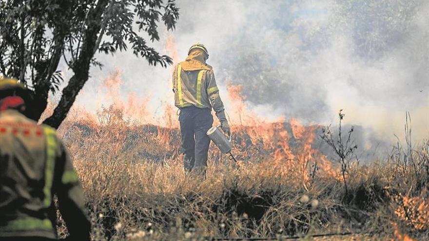 El incendio de Tarragona sigue sin control y afecta ya a 6.500 hectáreas