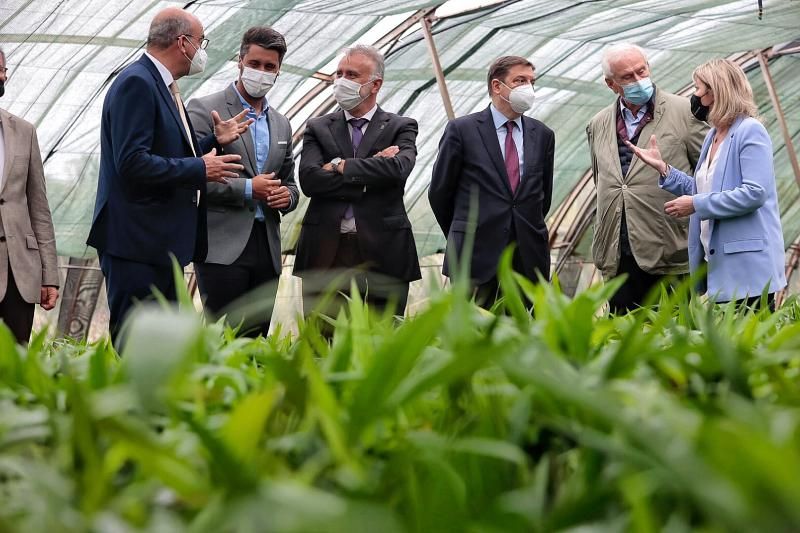 Visita del ministro de Agricultura, Luis Planas