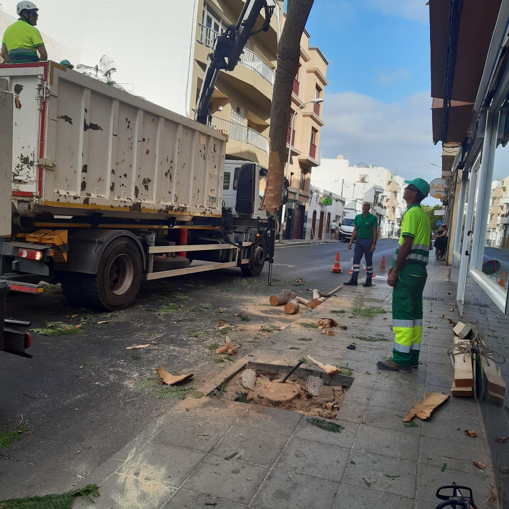 Talan un árbol tras el impacto de un camión en Arrecife