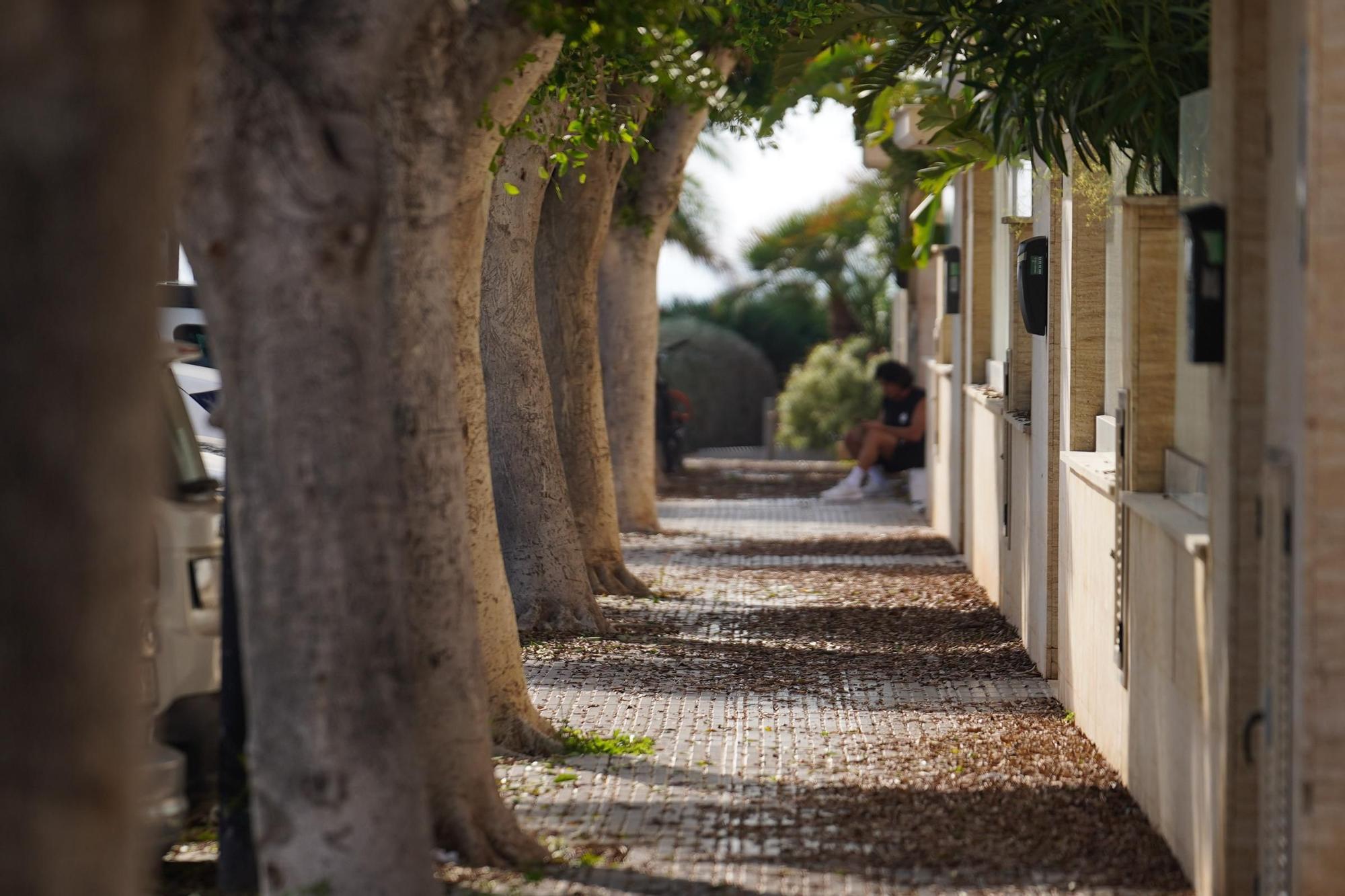 Galería: Este es el estado del barrio de Platja d'en Bossa