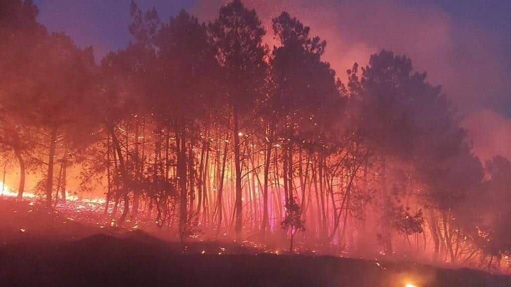 Incendio forestal en la Sierra de Aguafría de Monesterio