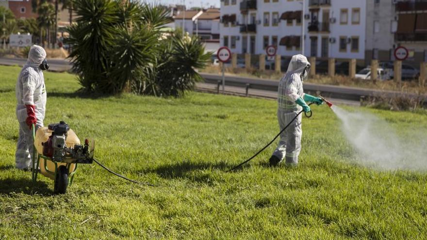 Dos treballadors fumiguen una zona verda per eliminar els mosquits que propaguen el virus del Nil