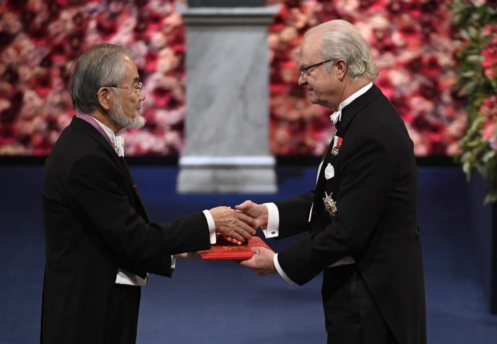 Ceremonia de entrega de los Premios Nobel 2016