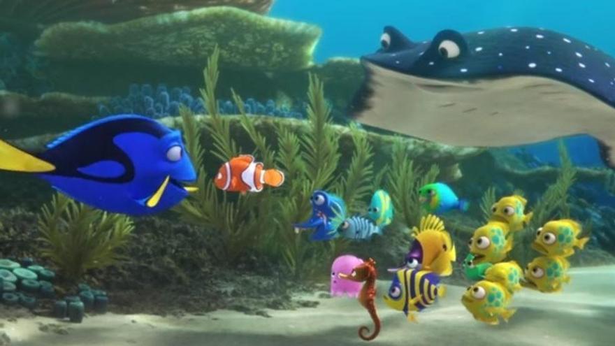 Primer adelanto de &#039;Buscando a Dory&#039;.