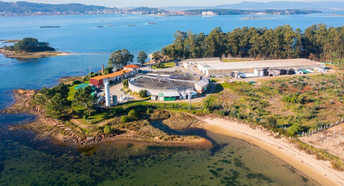 Las instalaciones de Aquacría en Cambados. |  FdV
