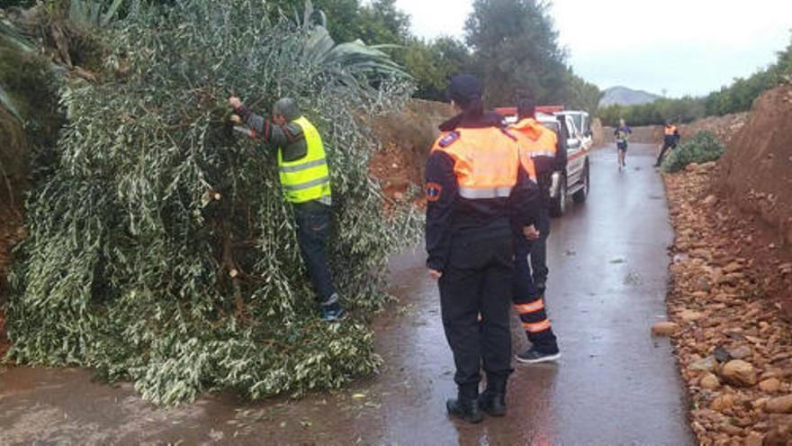 Protección Civil retira un árbol ante la llegada de un corredor.