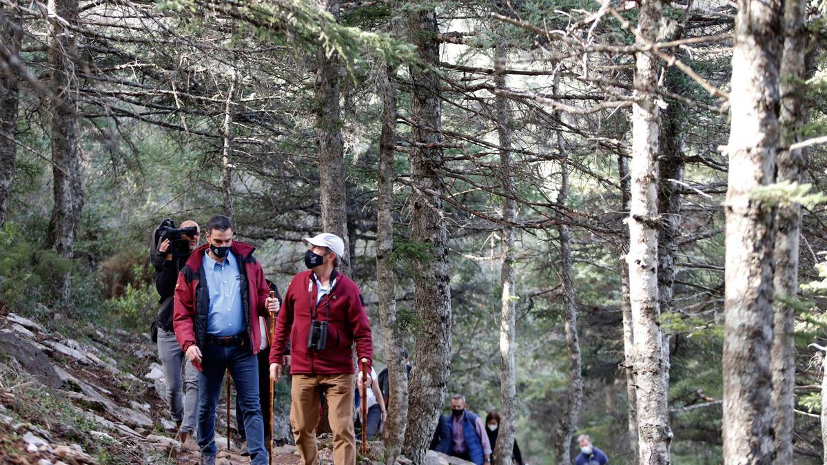 El presidente Sánchez visita la Sierra de las Nieves