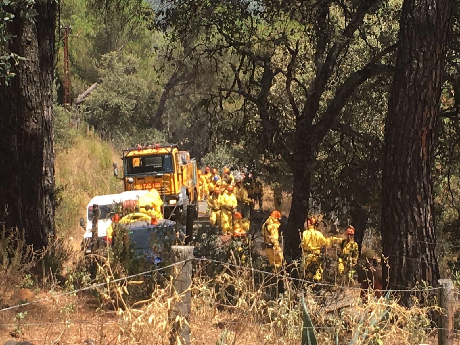Grupo de Pronto Auxilio de las Siete Fincas: guardianes contra el fuego