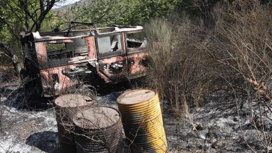Más de 5.000 hectáreas forestales se han quemado en el incendio de la Costa del Sol