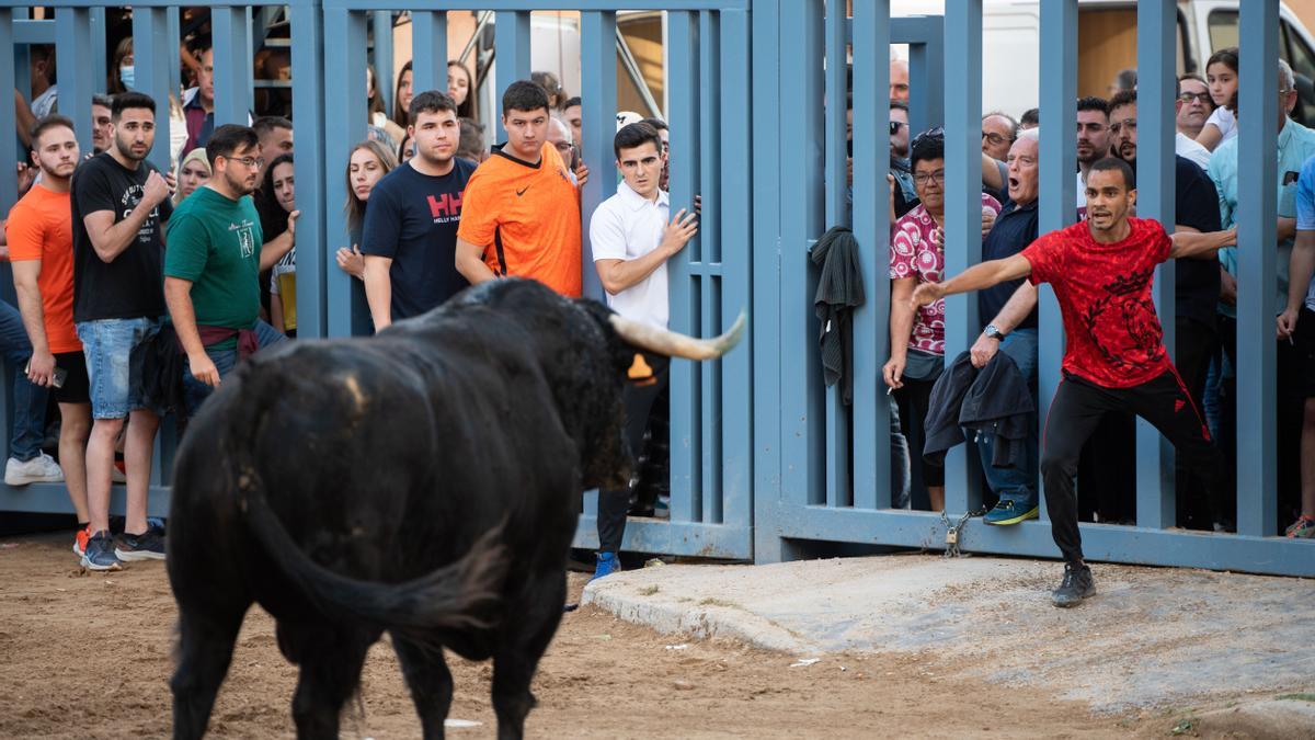 Festejos taurinos en Vila-real en mayo de este año.