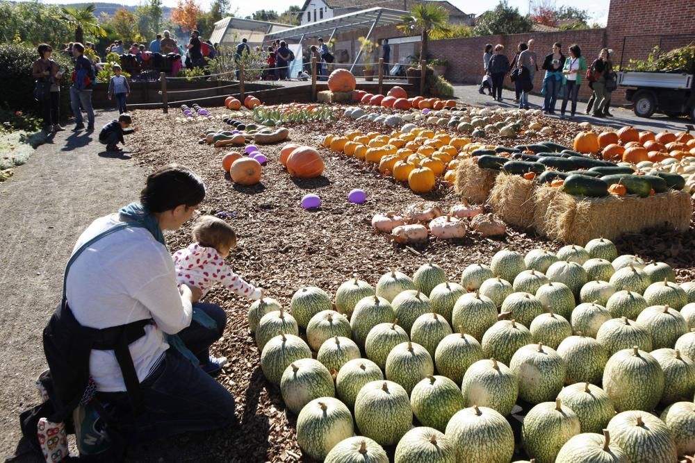 Calabazas y calaveras en el Botánico