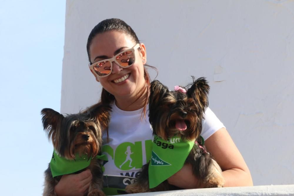 El Parque Huelin ha acogido la primera edición de un evento destinado a las mascotas y a sus dueños, con carreras en diversas categorías, actividades gratuitas y numerosos stands