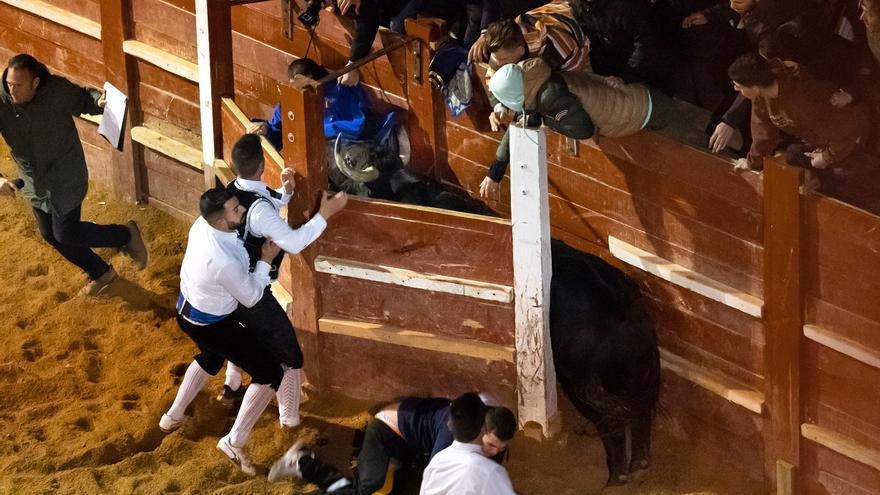 Tres heridos al entrar un toro en un burladero durante el concurso de recortes nocturno en Ciudad Rodrigo