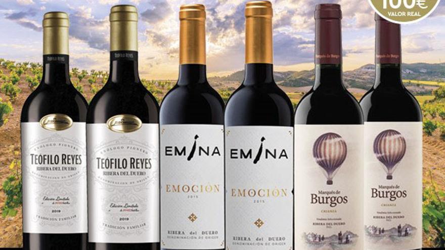 Casa Gourmet celebra el 40 aniversario de la DO Ribera del Duero con su nueva selección de vinos