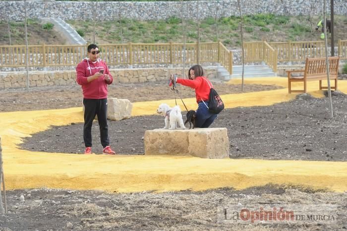 Alameda del Malecón: el entorno urbano del Segura estrena nuevo espacio verde