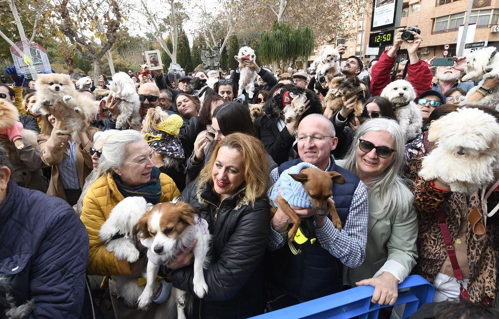 Así ha sido la bendición de animales por San Antón en Murcia