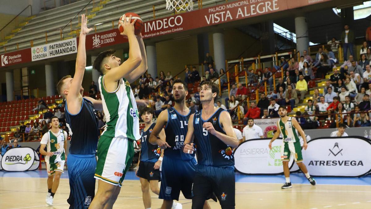 El Coto Córdoba de Baloncesto - Cimbis de la EBA de baloncesto en imágenes
