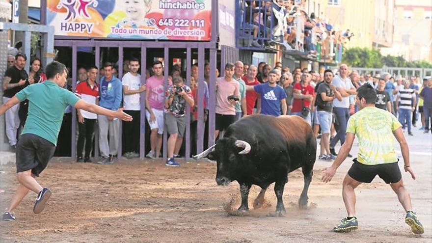 Los ayuntamientos se brindan a pagar el veterinario de los ‘bous’