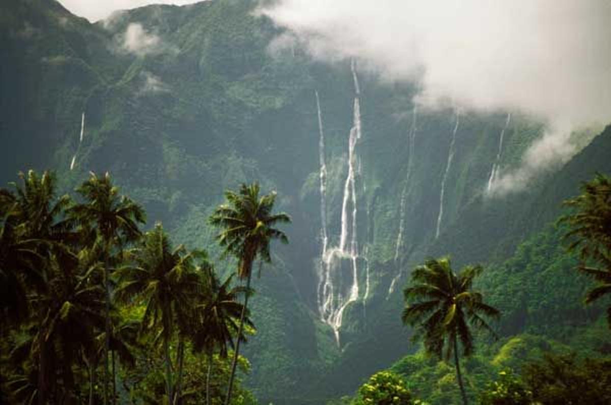 Paisaje selvático en Tahití.