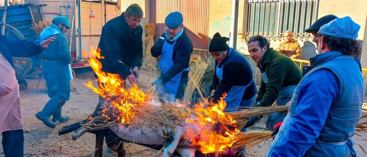 Matanza tradicional en Tábara